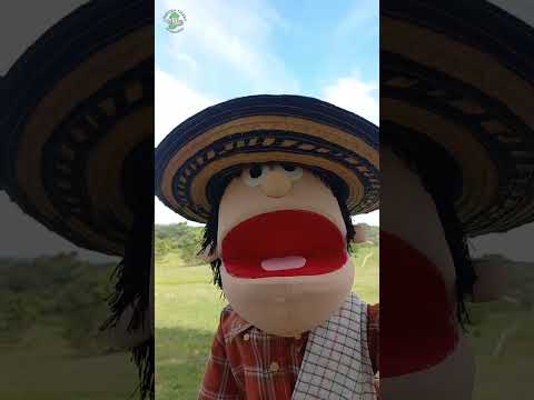 ¡¡¡OH SOBRI 🤠!!! El Tio Córdoba les regala un consejo 😁💚🌿