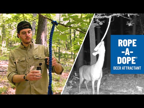 Rope-A-Dope® Deer Attractant and Scrape Booster