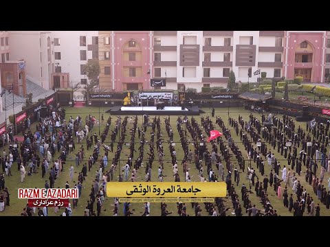 Highlights - Azadari - Shahadat e Imam Musa Kazim as - 25 Rajab 1442-2021