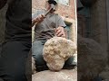 Geodesic Giant Treasure Hunt Who S The Lucky Person