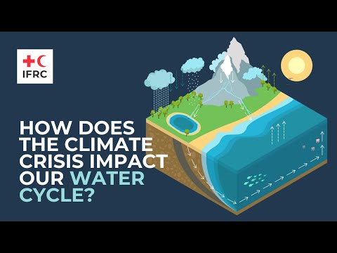How does the climate crisis impact our water cycle?