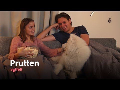 , title : 'Prutten | Vuffeli'
