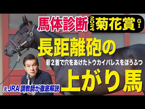 フランス統一スカウト - 定義