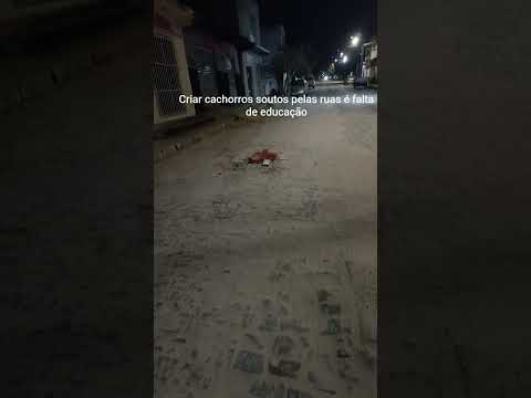 Conceição do Coité BA Brasil