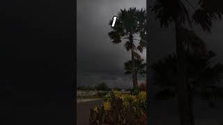 Download lagu Pilih Suasana Mendung Yang Kamu Sukai? #suasanapedesaan #shorts mp3