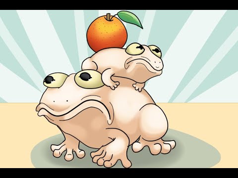 [Yu-Gi-Oh!] Paleozoic Frog VS The Weather December 2021