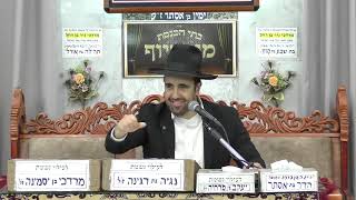 הרב מאיר אליהו | לחתן את הילדים | מוסאיוף כסלו תשפ"ו (רבנים שונים) - התמונה מוצגת ישירות מתוך אתר האינטרנט יוטיוב. זכויות היוצרים בתמונה שייכות ליוצרה. קישור קרדיט למקור התוכן נמצא בתוך דף הסרטון הרב מאיר אליהו | לחתן את הילדים | מוסאיוף כסלו תשפ"ו (רבנים שונים) - התמונה מוצגת ישירות מתוך אתר האינטרנט יוטיוב. זכויות היוצרים בתמונה שייכות ליוצרה. קישור קרדיט למקור התוכן נמצא בתוך דף הסרטון