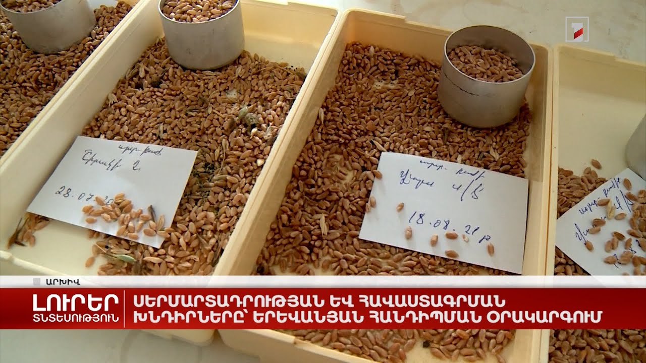 Սերմարտադրության և հավաստագրման խնդիրները՝ երևանյան հանդիպման օրակարգում