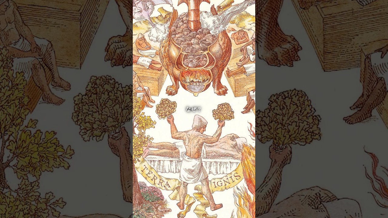 なぜ昔の人は薬なしで病気を治せたのか#thebook #ザブック#hungrymindsbooks #howtorebuildcivilization #hungryminds #アートブック #pr