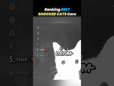 Ranking BEST SHOCKED CATS Core Moments!! 🐱🙊