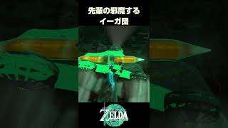 先輩の邪魔するイーガ団【ゼルダの伝説 ティアーズオブザキングダム】
