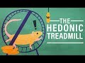 The Hedonic Treadmill