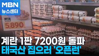 계란 1판 7233원 연중 최고…싼 태국산 집으러 '오픈런' [MBN 뉴스센터]