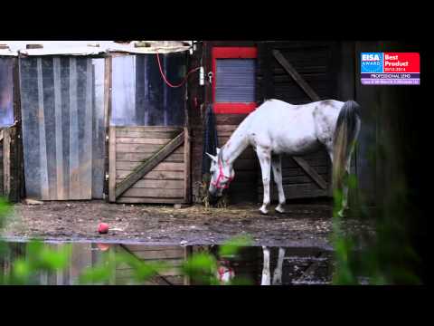 EUROPEAN PROFESSIONAL LENS 2013-2014 - CANON EF 200-400MM F4L IS USM EXTENDER 1.4X