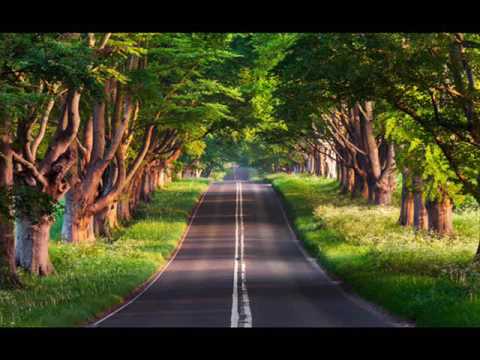 Nu-Ti cer nimic - Mihai Zaharia