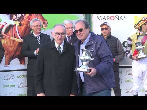 231001 c08 Cl. G. P. Jockey Club/ RAMBO APPROVED