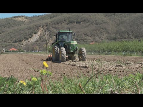 Pasojat e pandemisë, mbi 18 mijë fermerë ndërpresin pagesën e sigurimeve