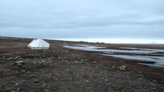Svalbard Airport Longyear and Longyearbyen Camping