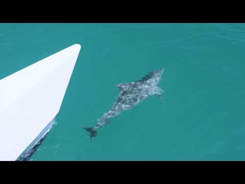 TOERISME GRAAD 11: 19 Augustus 2020 - periode 8 (19118)