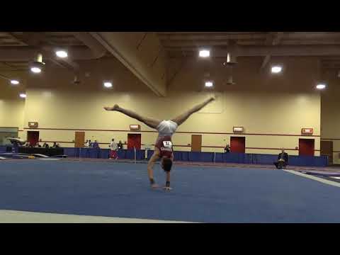 Vitaliy Guimaraes - Floor Exericise - 2019 Winter Cup Senior Finals