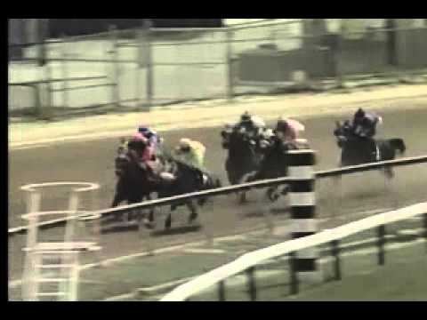 Pimlico 04/19/14 race 2