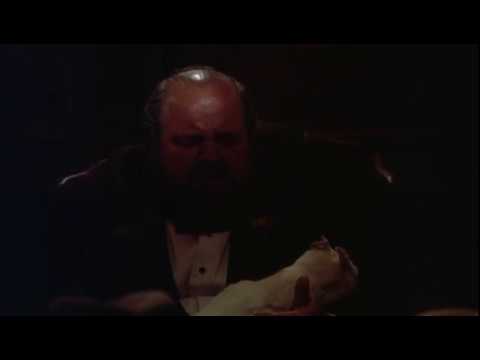 Cannonball Run II - Don Canneloni's Cat