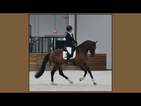 Burberry 2017 Borsalino x DeNiro