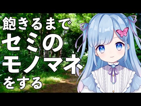 video de youtube