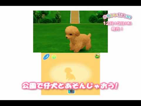 かわいい仔犬3D