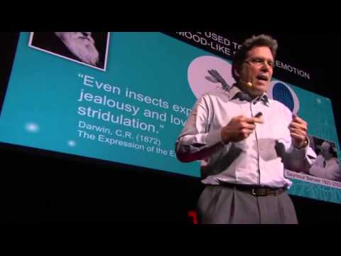 Your Brain Is More Than A Bag Of Chemicals -- David Anderson -- TED Talk