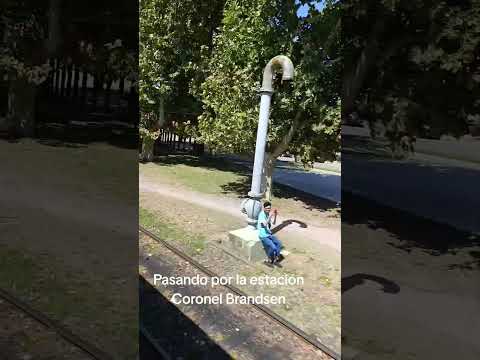 CORONEL BRANDSEN #viral #trending #reels #parati #fypシ #funny #fypシ゚viral #fypp #fyp #video #shorts