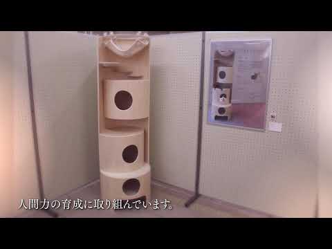 共立女子大学　家政学部　建築・デザイン学科　デザインコース卒業作品展