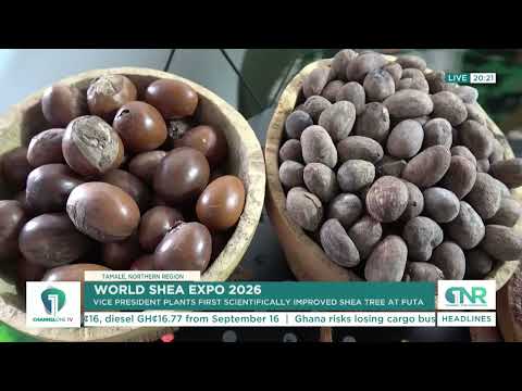 World Shea Expo 2026: Prof. Jane Naana Plants Ghana’s First Improved Shea Tree