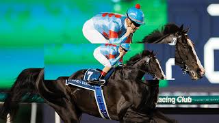 ウマ仲間と遊ぼう◎競馬ライブ予想 のライブ配信