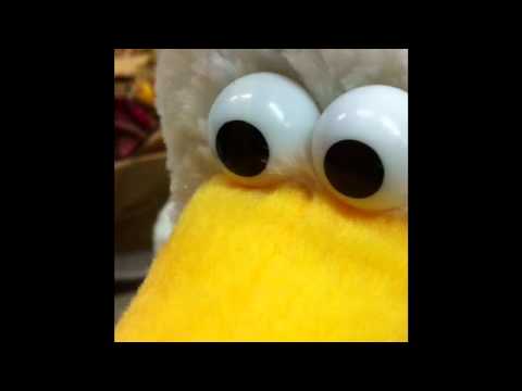 Bürogeflüster - Teil 19