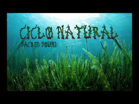 Ciclo Natural - YamavooDoom