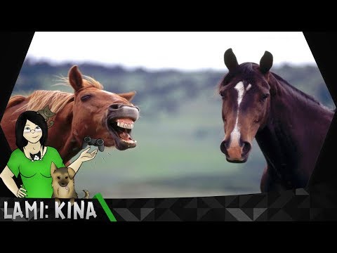 Jade na koniu - Randomowa Kina #200
