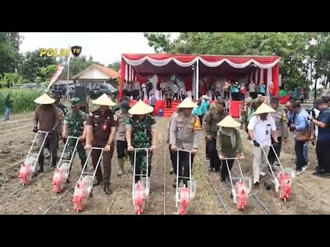 POLRESTA SIDOARJO GELAR PENANAMAN JAGUNG
