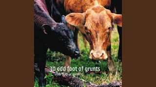 All the White Circles