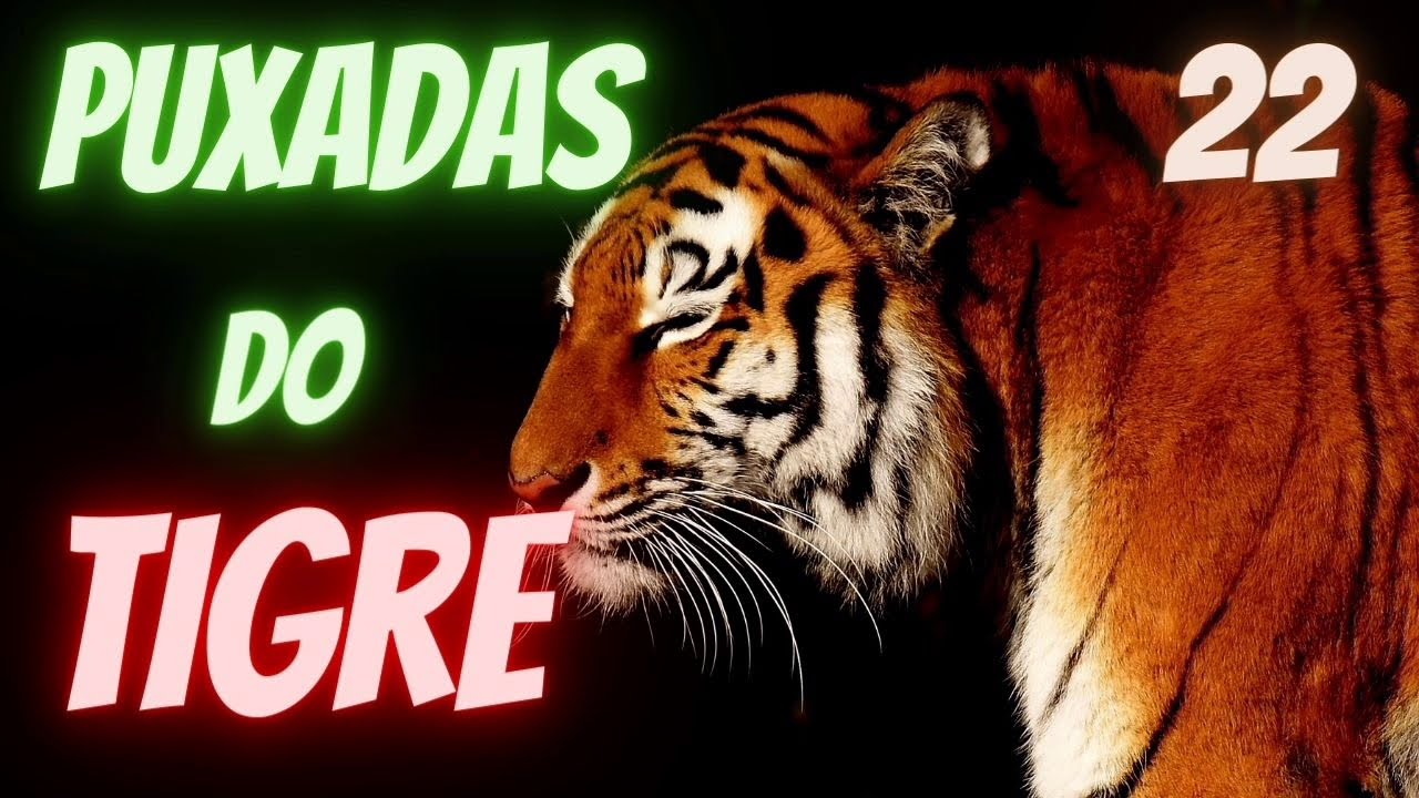 Watch Now PUXADAS DO TIGRE -- DICAS CAPITÃO GANCHO PUXADAS DO TIGRE -- DICAS CAPITÃO GANCHO