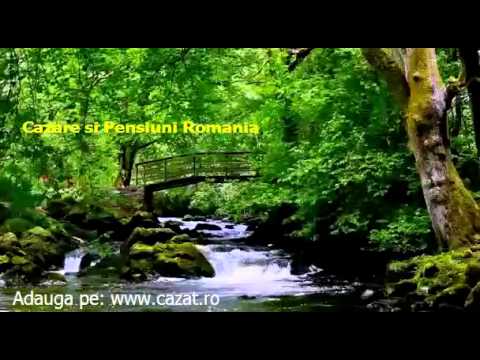 Cazare Didilesti, Gorj - Cazat.ro