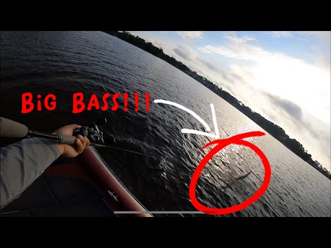 Herring Spawn Fishing (LAKE MURRAY, SC)
