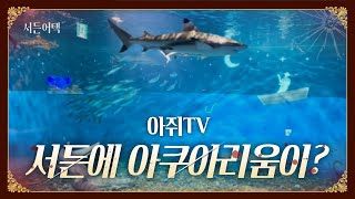 서든에 아쿠아리움이? 물고기 밥도 준다!