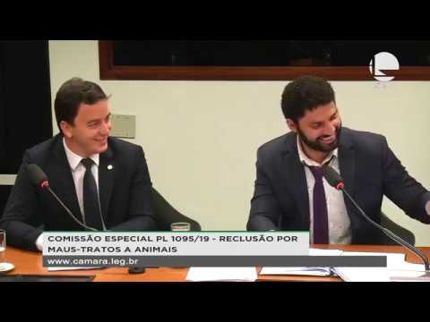 PL 1095/19 - RECLUSÃO POR MAUS-TRATOS A ANIMAIS - Reunião Deliberativa - 21/08/2019 - 15:51