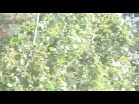 Tälästä tähän iltaan