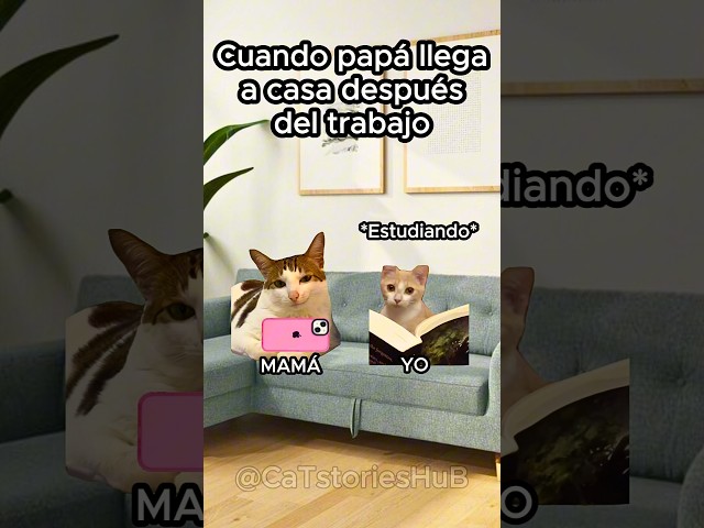 Video relacionado