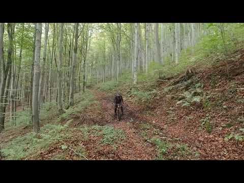 Coborare Valea Dobrii full