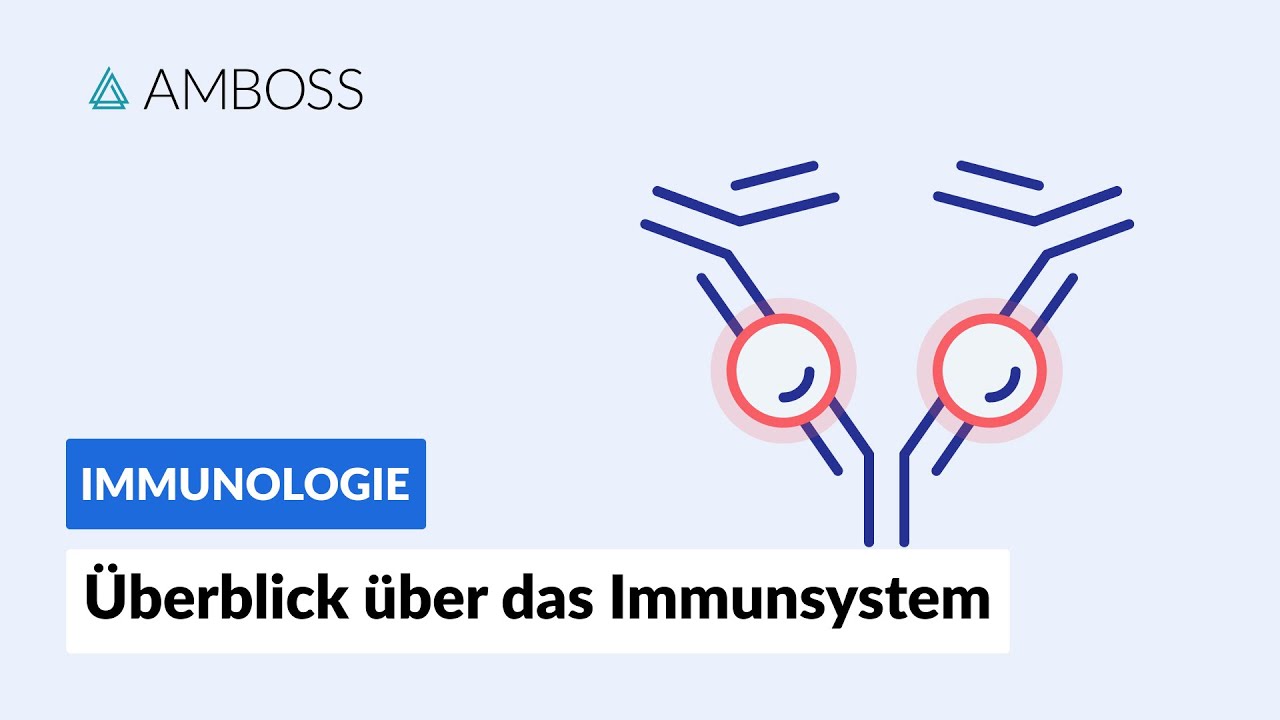 Überblick über das unspezifische und spezifische Immunsystem -- Immunologie -- AMBOSS Video