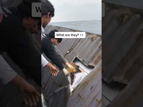 Between 1000-3000 shipping containers get lost in the ocean each year.. #shipping #sustainable #sea