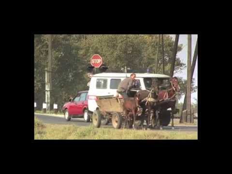 Rischkanowka oder der König von Bessarabien (Ausschnitt)